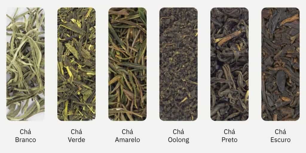 Os tipos de chás: Chá Branco, Chá Verde, Chá Amarelo, Chá Oolong, Chá Preto e Chá Escuro