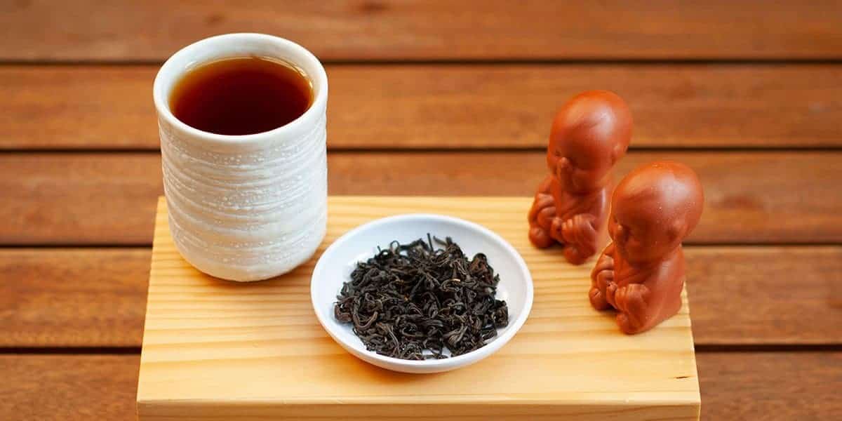 Chá Preto Orgânico do Sítio Shimada